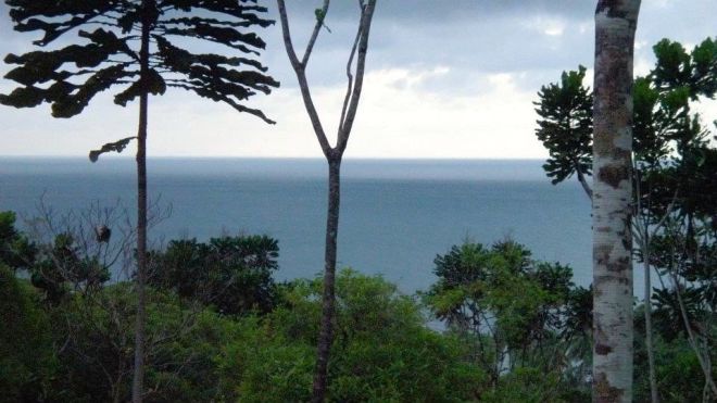 Isla Gorgona, Colombian Pacific