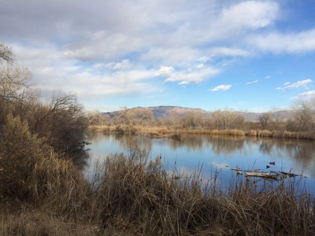 Albuquerque, New Mexico