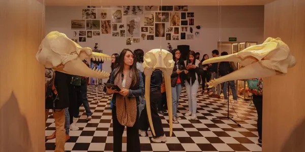 Sala de la exposición Historias naturales con esqueletos y láminas de ilustración científica