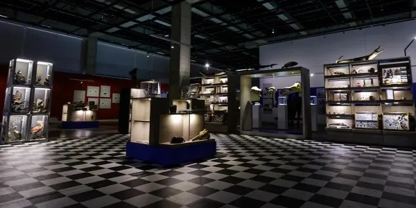 Vitrinas del Museo de Historia Natural en la Sala Colpatria