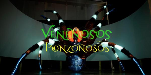 Entrada de la exposición Venenosos y ponzoñosos con una araña luminosa gigante