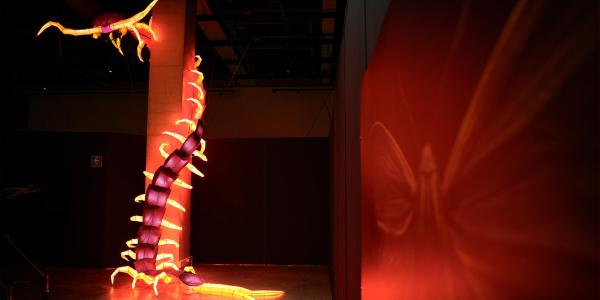 Escultura luminosa de un ciempiés en Venenosos y ponzoñosos